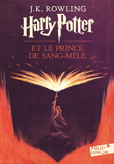 Harry Potter Volume 6 Harry Potter Et Le Prince De Sang Mele